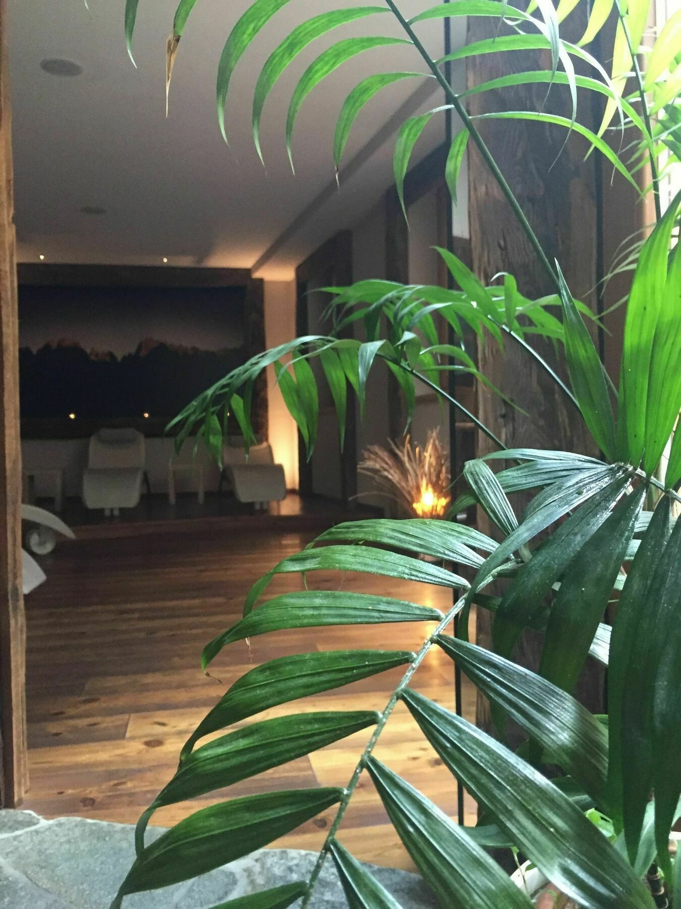 Maribel Hotel Madonna Buitenkant foto